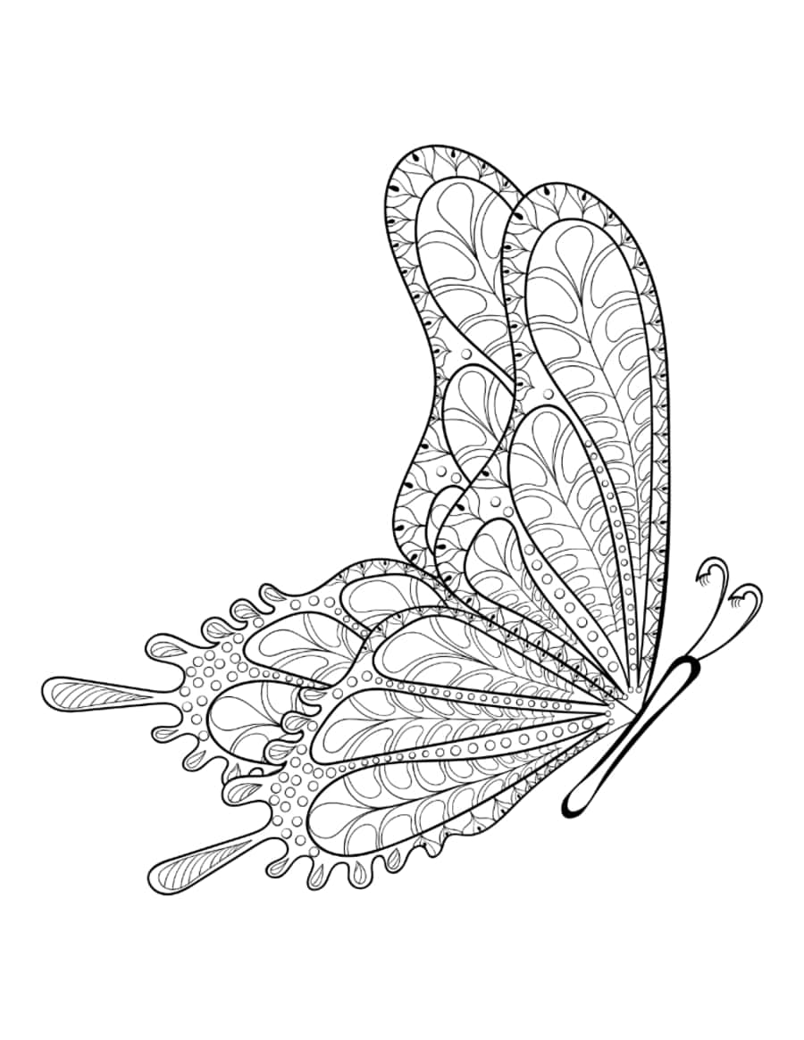 Butterfly Detailed Pattern Flying Side View Adults Kids Coloring Pages Pdf Free Vectors
